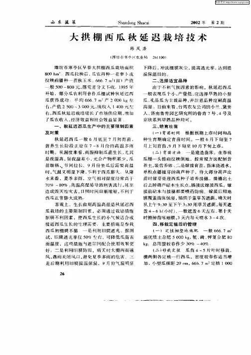 大拱棚西瓜秋延迟栽培技术
