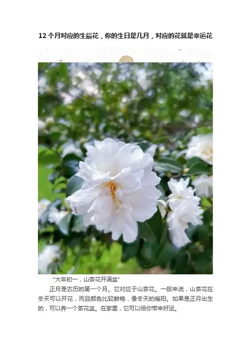 12个月对应的生辰花，你的生日是几月，对应的花就是幸运花