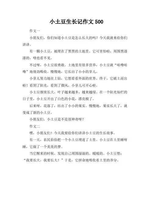 小土豆生长记作文500