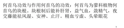 何首乌的功效与作用PPT课件