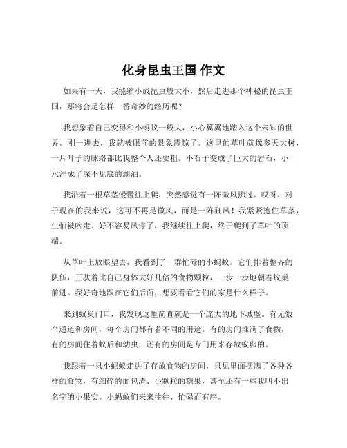 化身昆虫王国 作文