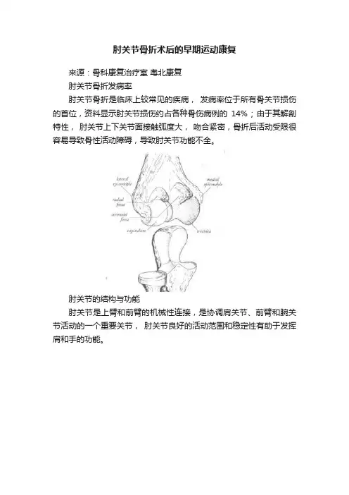 肘关节骨折术后的早期运动康复
