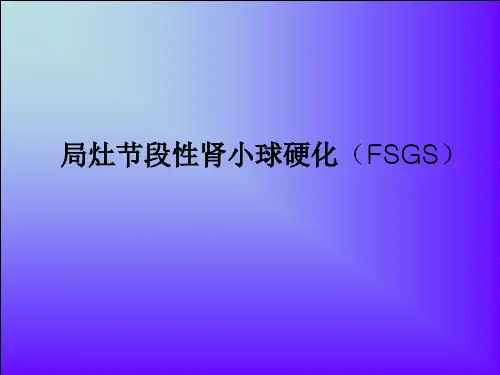 局灶节段硬化性肾小球硬化(FSGS)