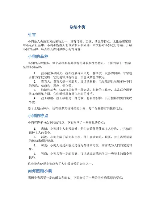 总结小狗范文