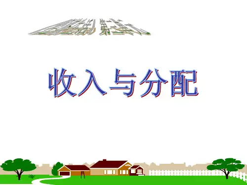 《收入与分配复习》PPT课件