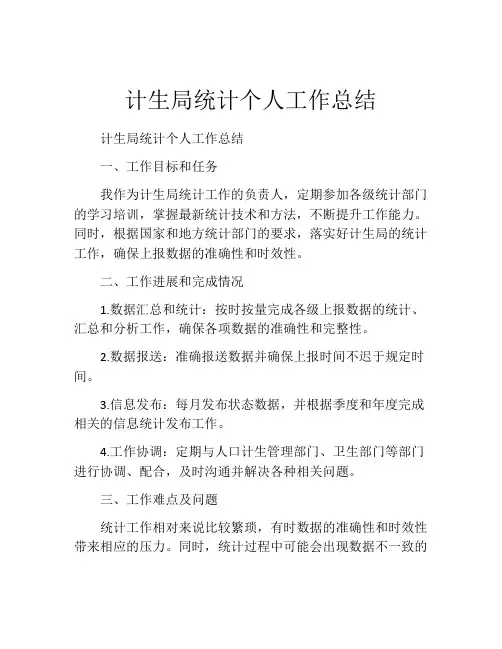 计生局统计个人工作总结 (2)