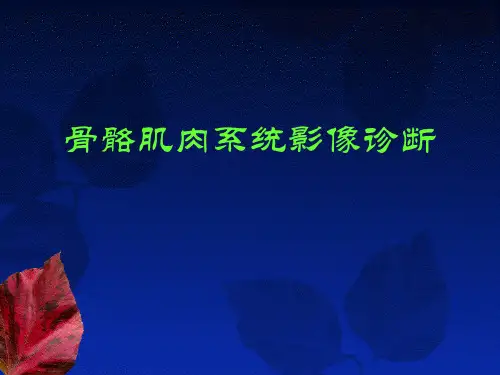 骨骼肌肉系统影像诊断第二部分PPT模板