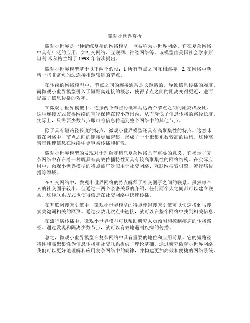 微观小世界赏析
