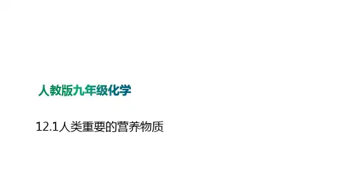 12.1人类重要的营养物质课件—九年级化学人教版下册