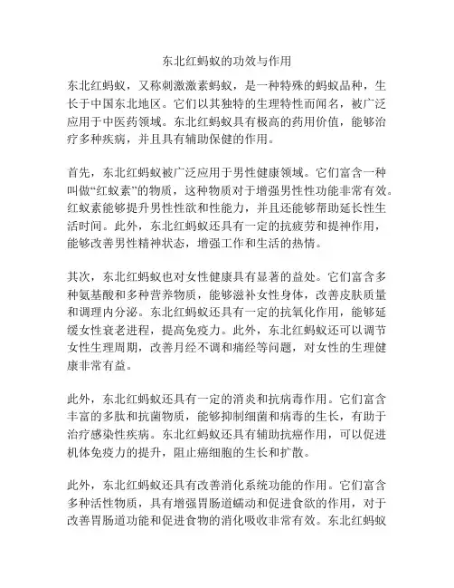 东北红蚂蚁的功效与作用