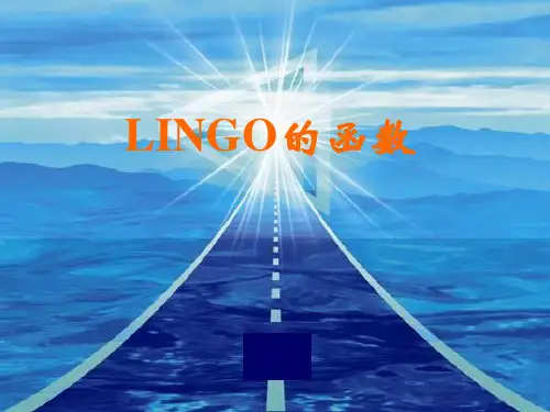 LINGO的函数
