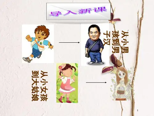 九年级政治全册 第一单元 承担责任 服务社会 第二课 在承担责任中成长课件 新人教版.pptx