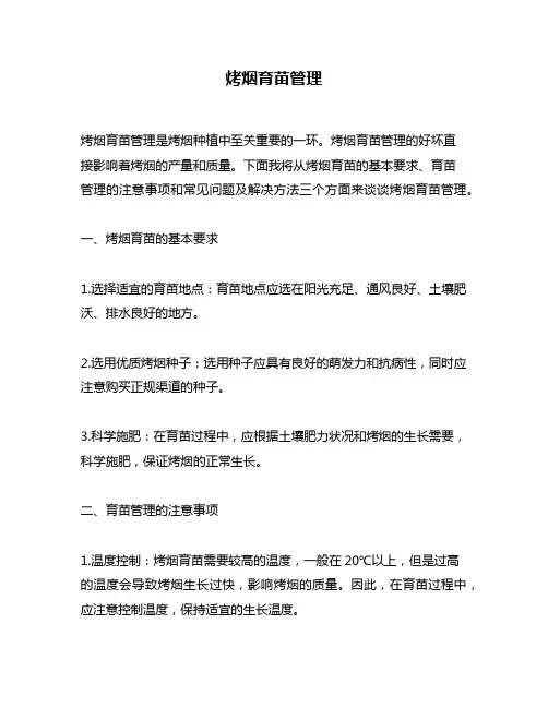 烤烟育苗管理
