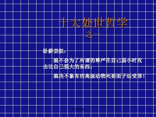 企业文化-狼的哲学