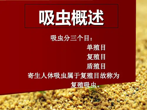 人体寄生虫之吸虫PPT