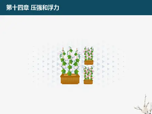 《流体压强与流速的关系》ppt课件