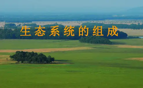 济南社八年级下册生物6.生态系统的组成课件(1)