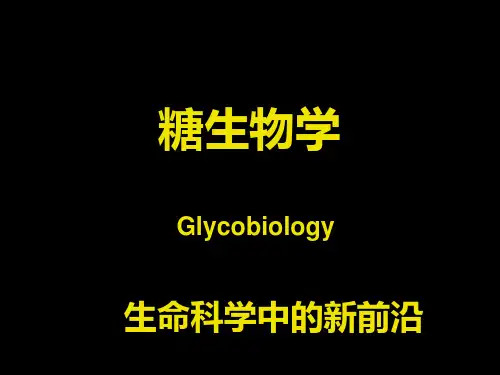 糖生物学