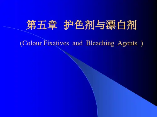 第五章  护色剂与漂白剂     (