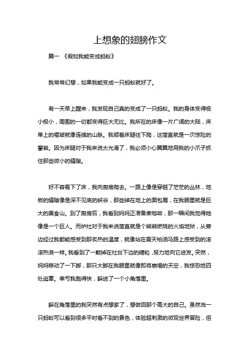 上想象的翅膀作文