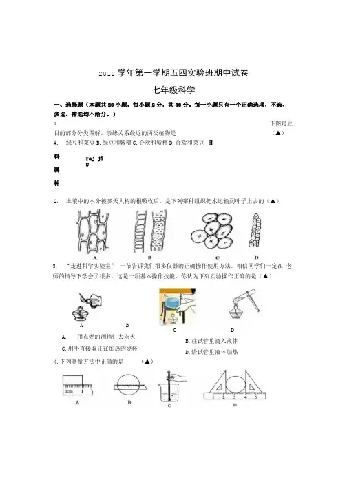 七年级科试卷.docx