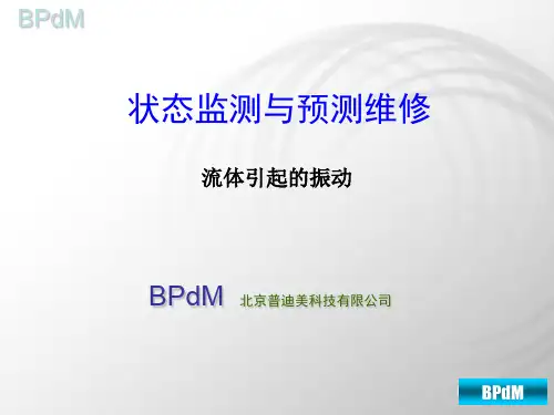 流体引起的振动new