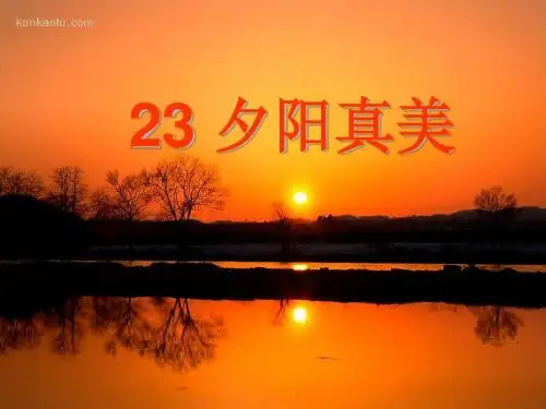 《夕阳真美》