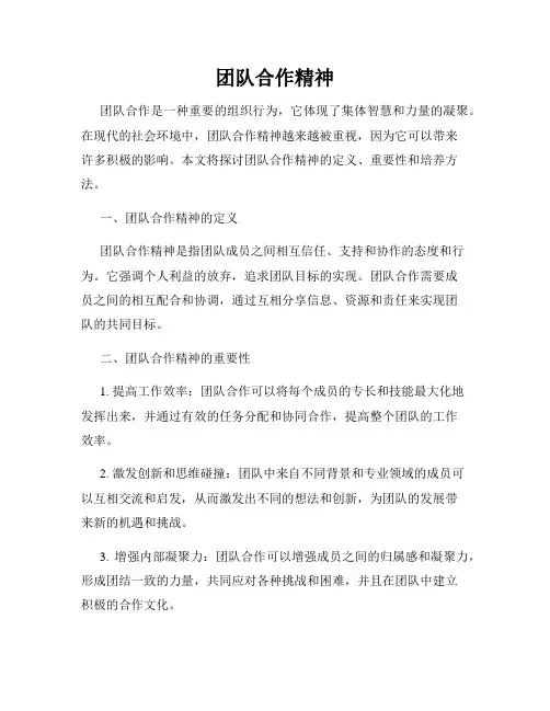 团队合作精神