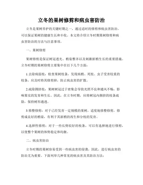 立冬的果树修剪和病虫害防治