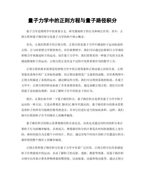 量子力学中的正则方程与量子路径积分