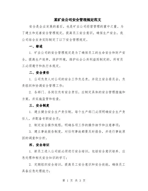 某矿业公司安全管理规定范文