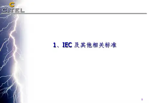 交流电涌保护PPT课件