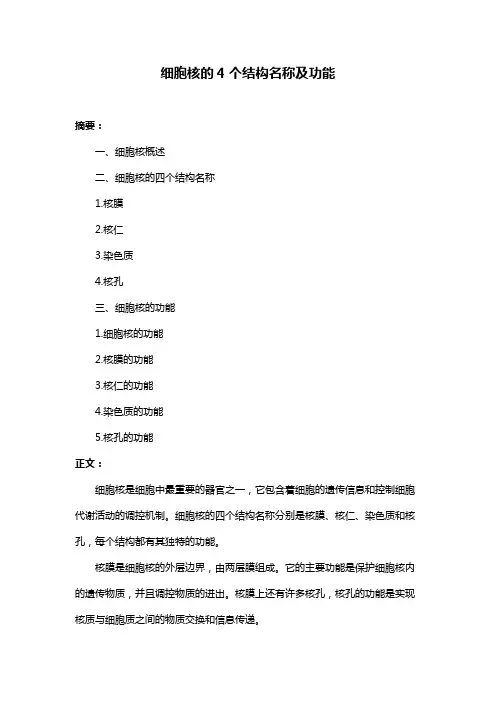 细胞核的4个结构名称及功能