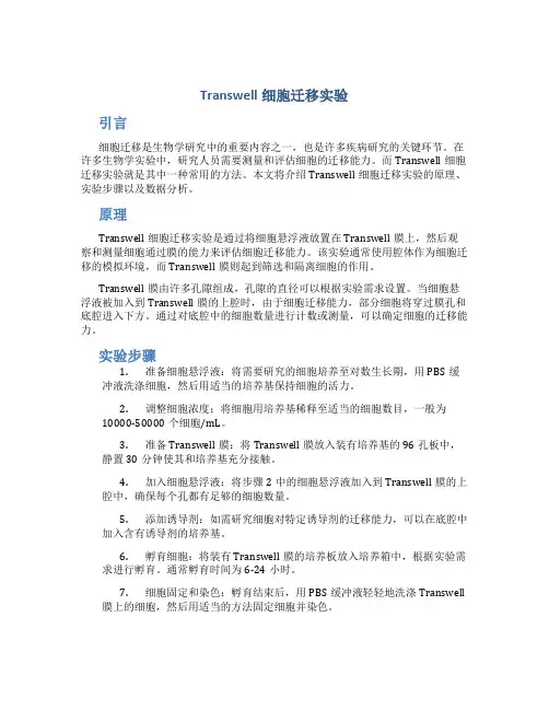 transwell细胞迁移实验