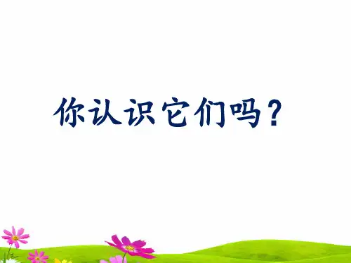 教科版一年级上册科学《我们知道的植物》精品课件