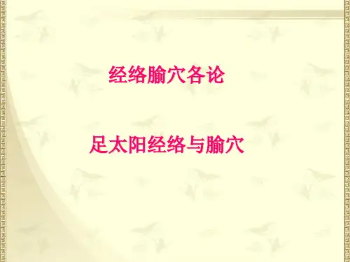 足太阳经络与腧穴