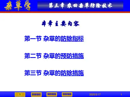 杂草学课件04