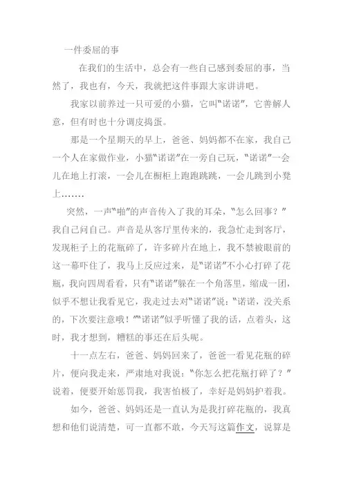 一件委屈的事作文
