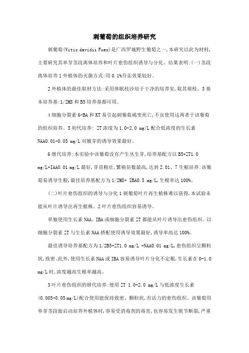 刺葡萄的组织培养研究