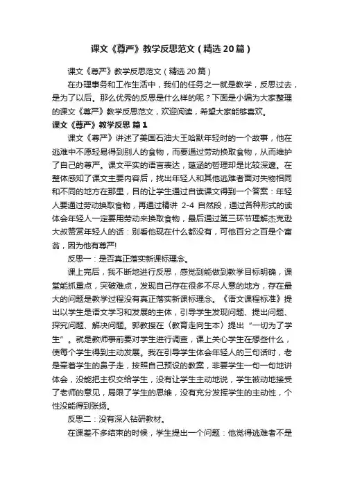课文《尊严》教学反思范文（精选20篇）