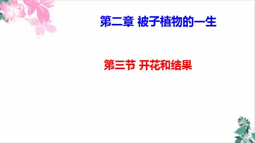 人教版开花和结果名师课件