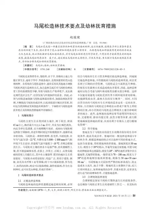 马尾松造林技术要点及幼林抚育措施