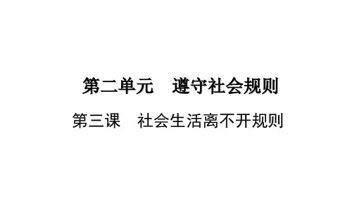 遵守规则 部编版道德与法治八年级上册 (1)