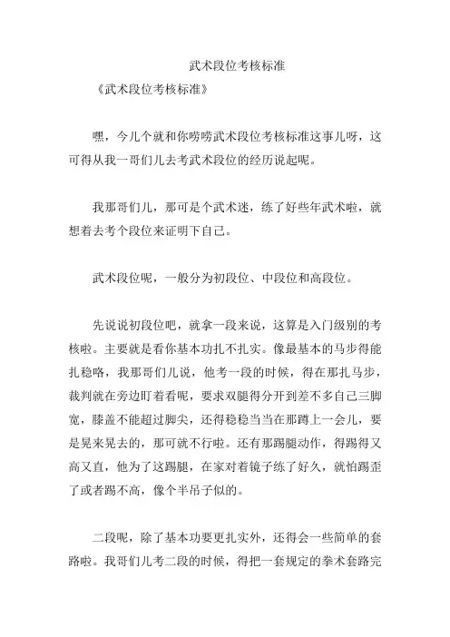 武术段位考核标准