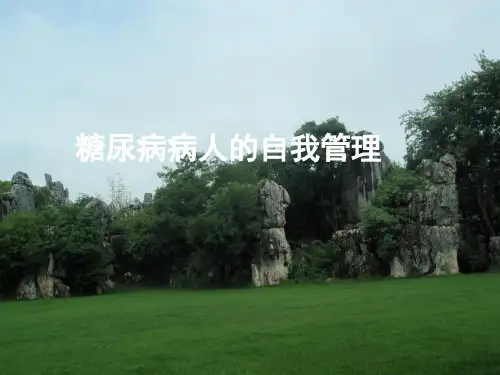 糖尿病患者的自我管理