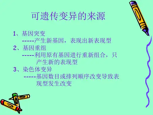人教版教学课件生物育种第一轮复习课件PPT 26张