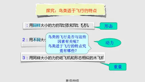 鸟适于飞行的形态结构特点全解PPT课件