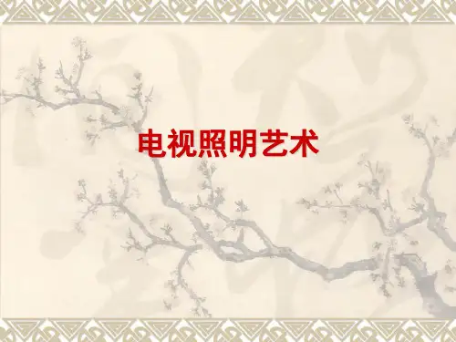 电视照明艺术