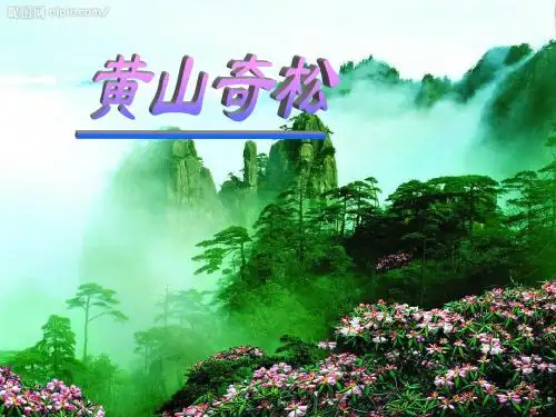 黄山奇松 公开课课件