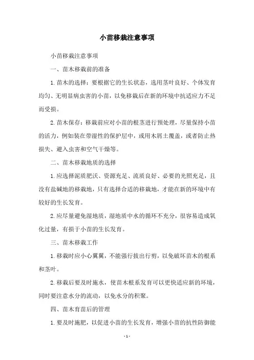 小苗移栽注意事项